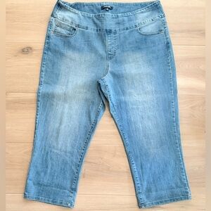 Chadwick's Pull-On Cropped Jeans Size 18